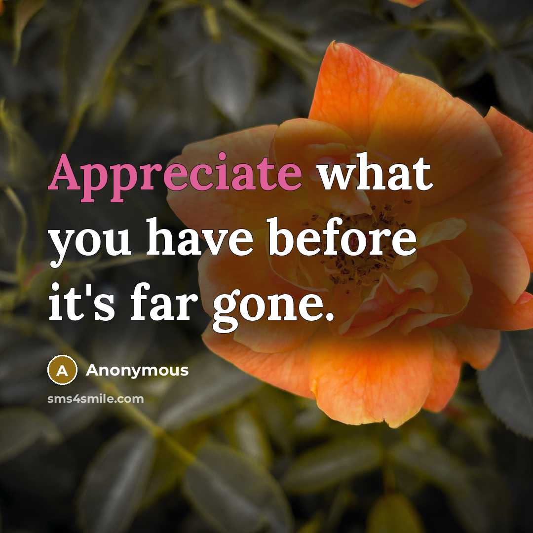 “Appreciate what you have before it's far gone.” quote by Anonymous