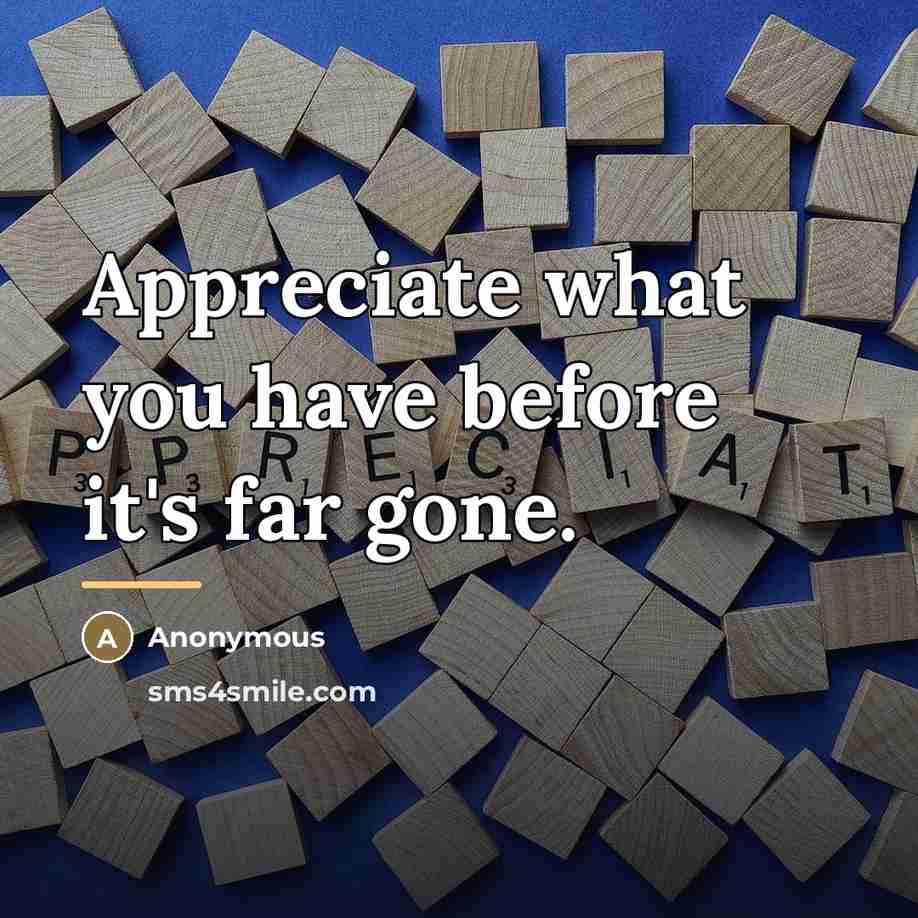 “Appreciate what you have before it's far gone.…” quote by Anonymous