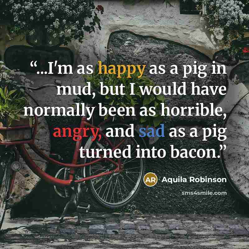 “...I'm as happy as a pig in mud, but I would have normally been as horrible, angry, and sad as a pig turned into bacon.” quote by Aquila Robinson