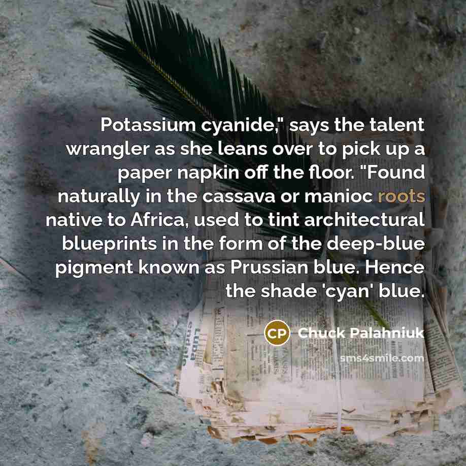 “Potassium cyanide," says the talent wrangler as she leans over…” quote by Chuck Palahniuk