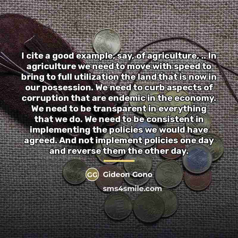 “I cite a good example, say, of agriculture, .. In…” quote by Gideon Gono