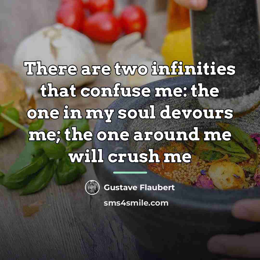 “There are two infinities that confuse me: the one in…” quote by Gustave Flaubert