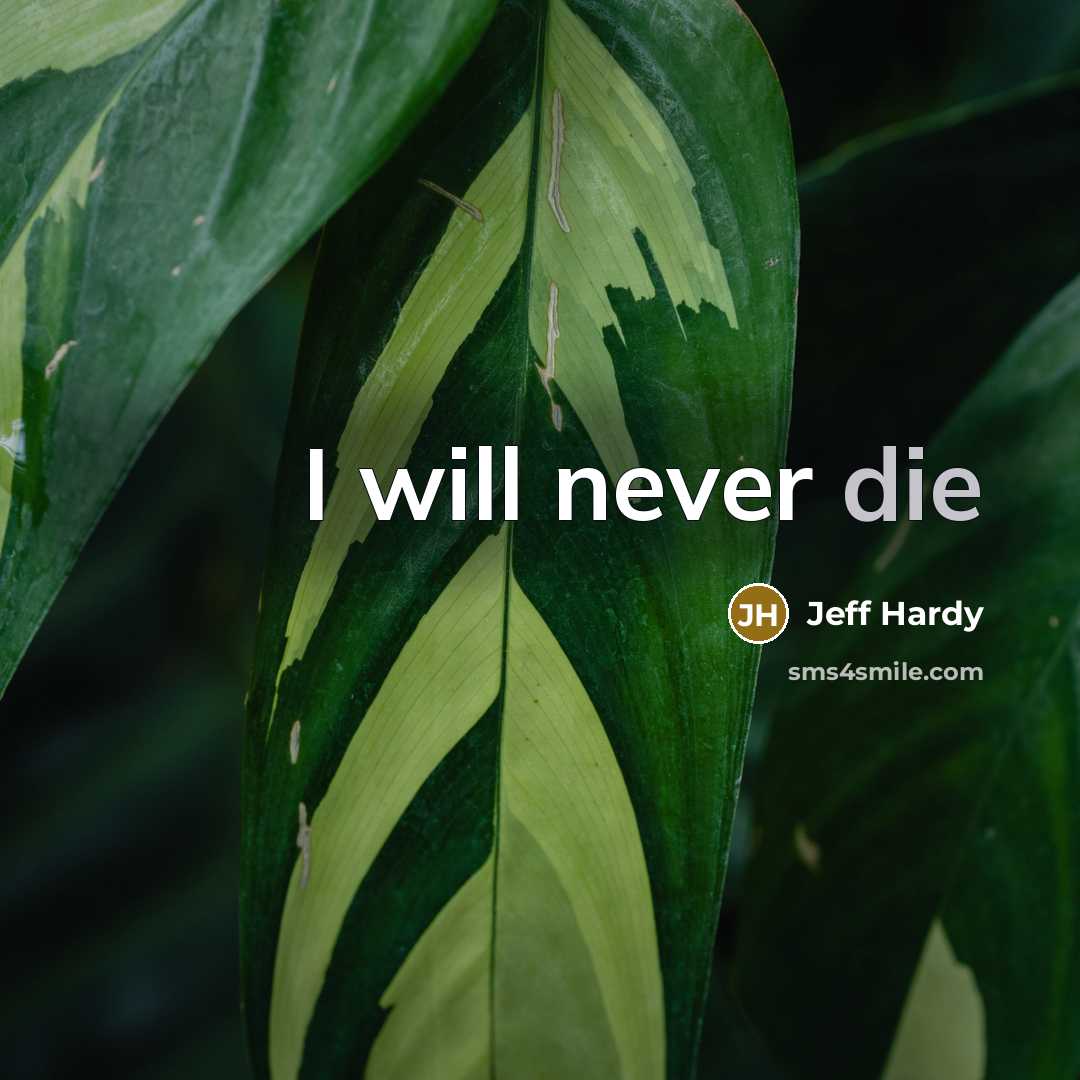 “I will never die…” quote by Jeff Hardy