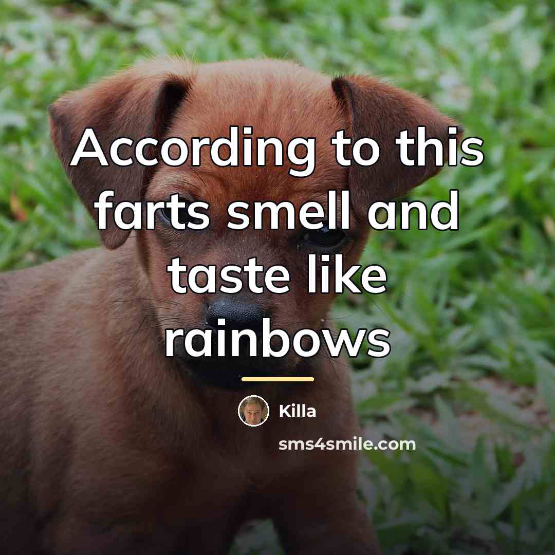 “According to this farts smell and taste like rainbows…” quote by Killa