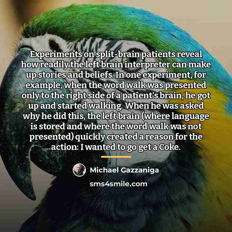“Experiments on split-brain patients reveal how readily the left brain…” quote by Michael Gazzaniga