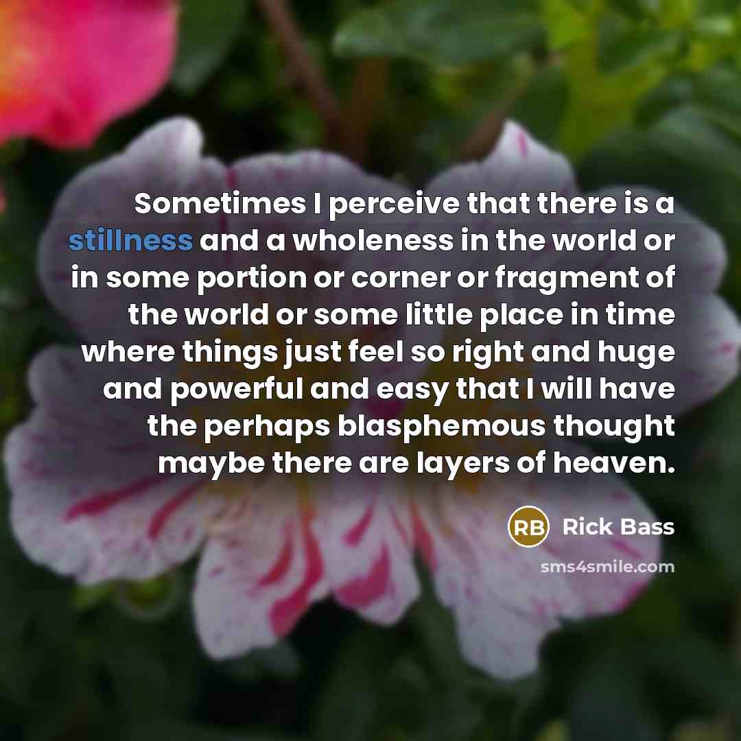 “Sometimes I perceive that there is a stillness and a…” quote by Rick Bass