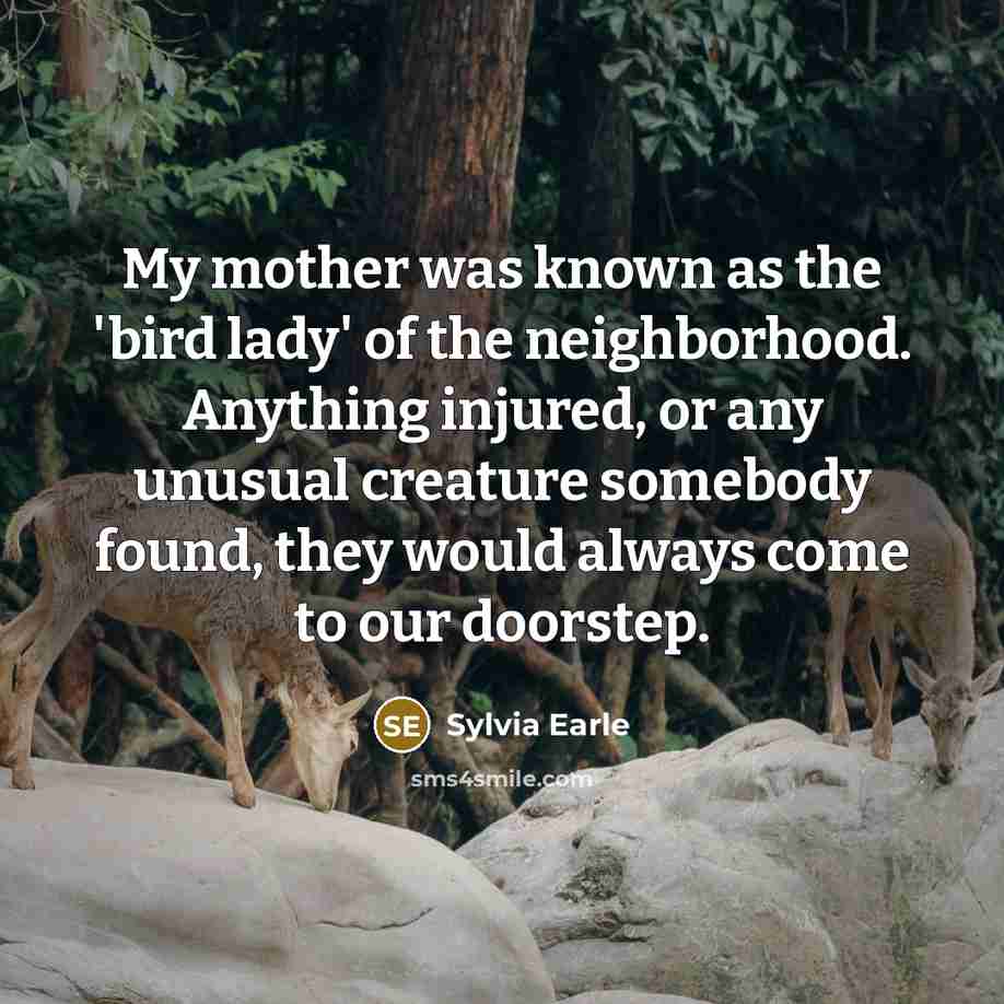 “My mother was known as the 'bird lady' of the…” quote by Sylvia Earle