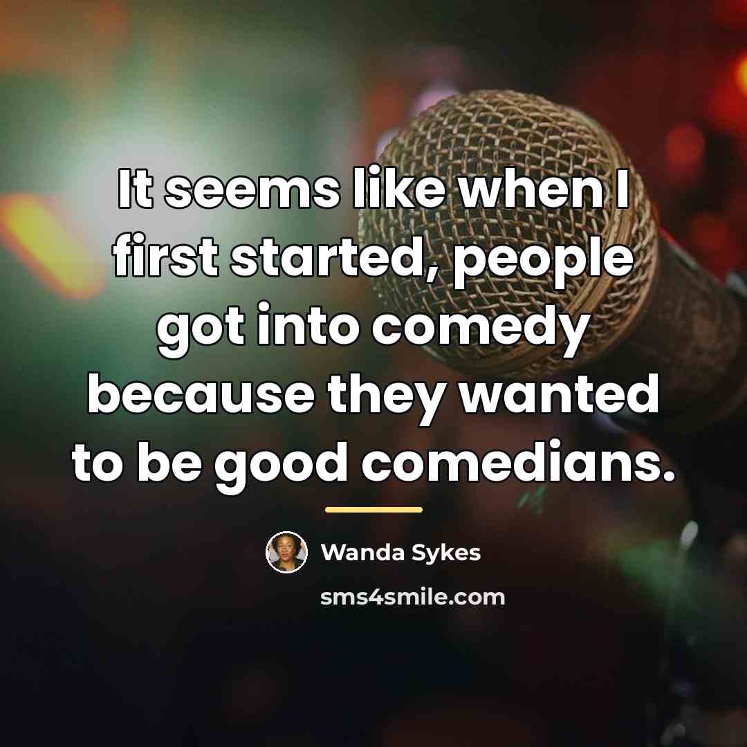 “It seems like when I first started, people got into…” quote by Wanda Sykes