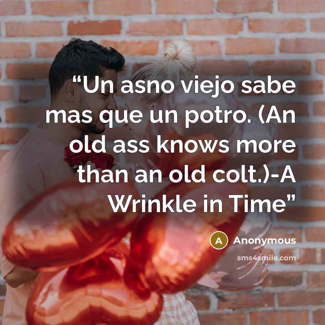 “Un asno viejo sabe mas que un potro. (An old ass knows more than an old colt.)-A Wrinkle in Time” quote by Anonymous