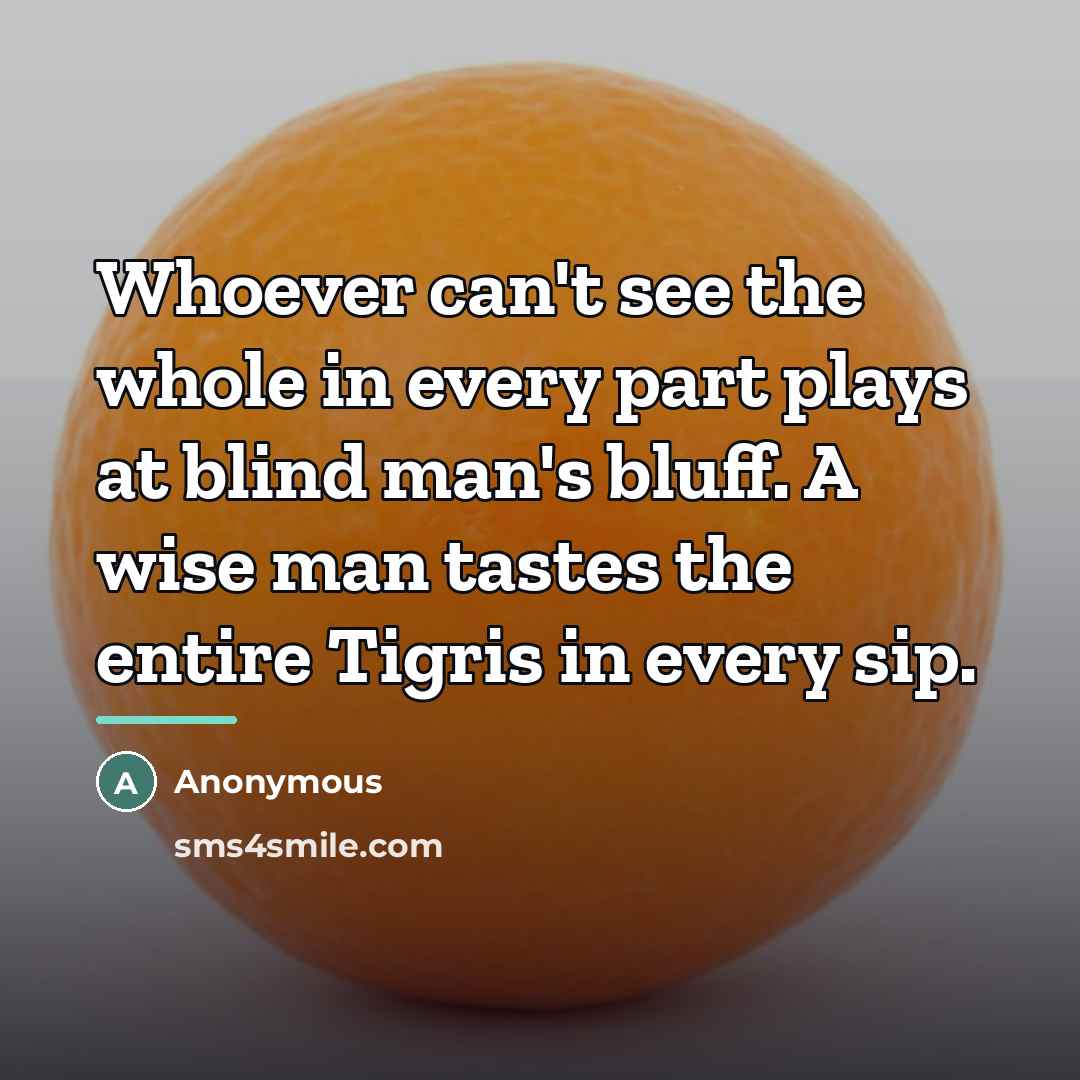 “Whoever can't see the whole in every part plays at…” quote by Anonymous