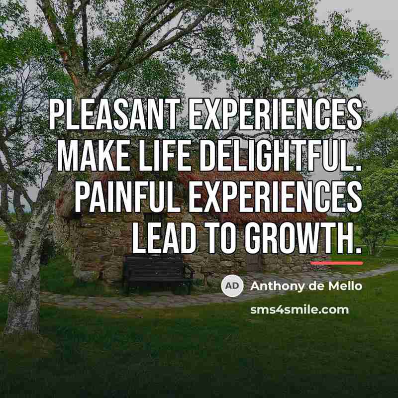“Pleasant experiences make life delightful. Painful experiences lead to growth.…” quote by Anthony de Mello