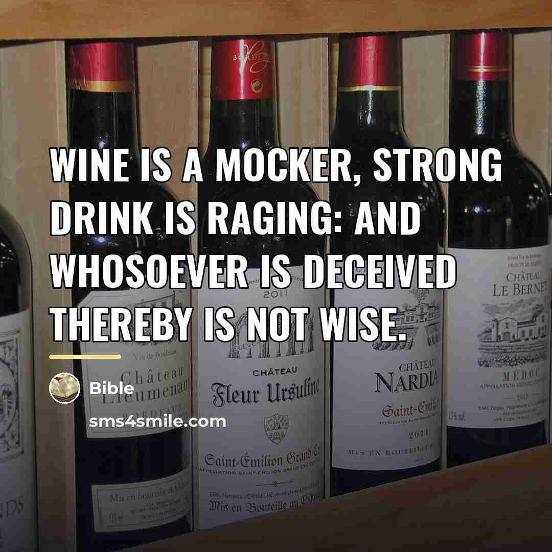 “Wine is a mocker, strong drink is raging: and whosoever…” quote by Bible