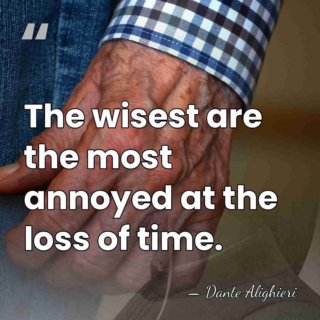The wisest are the most annoyed at the loss of time. - Dante Alighieri
