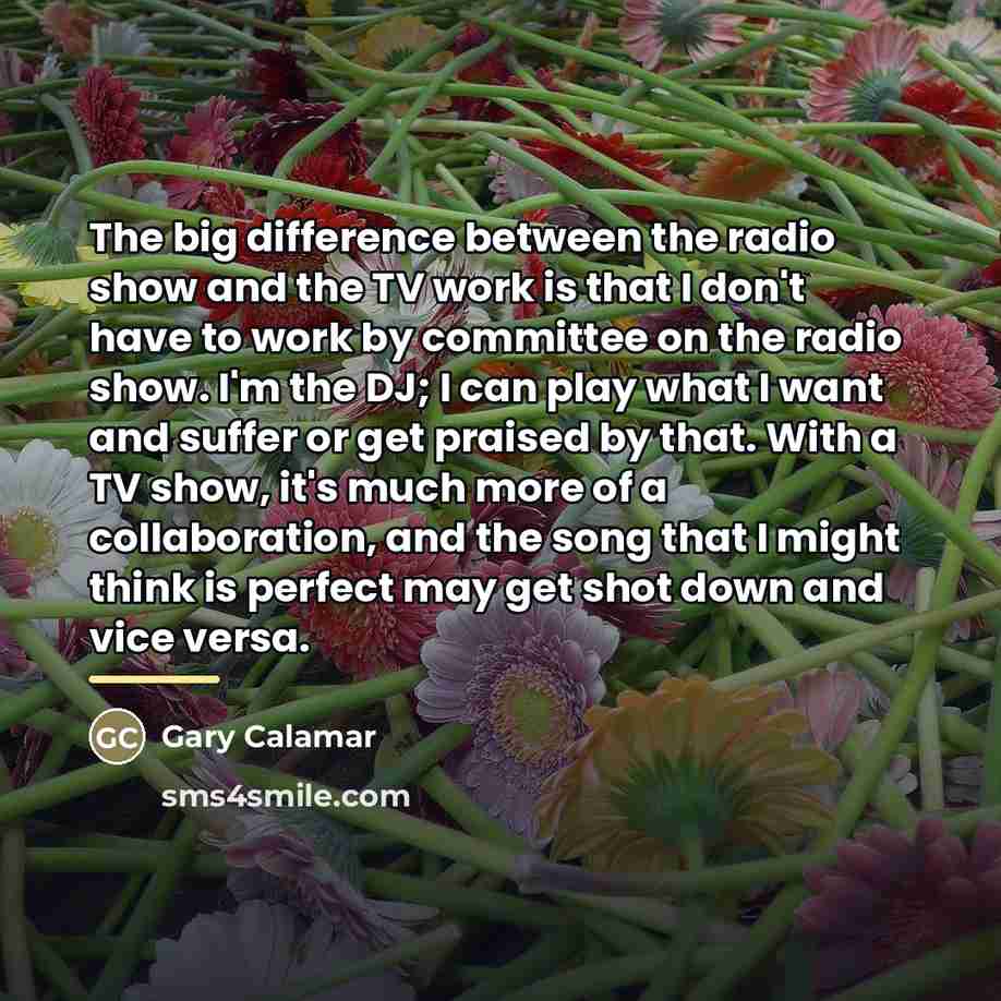 “The big difference between the radio show and the TV…” quote by Gary Calamar