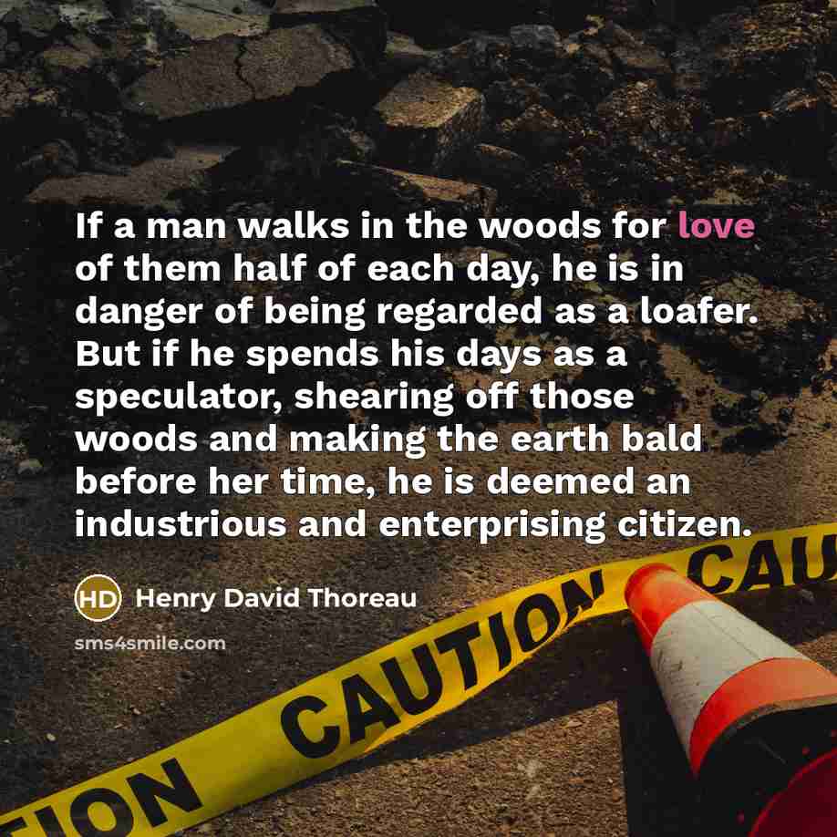 “If a man walks in the woods for love of…” quote by Henry David Thoreau