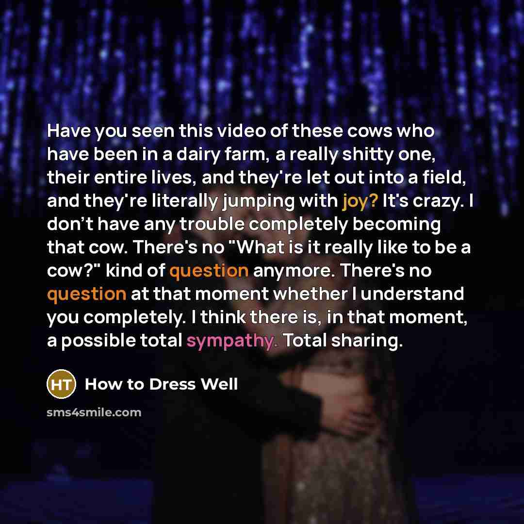 “Have you seen this video of these cows who have…” quote by How to Dress Well