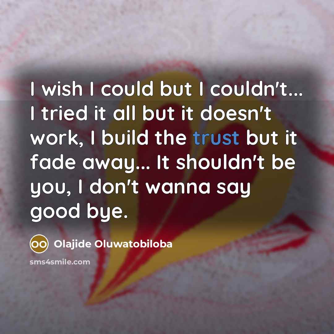 “I wish I could but I couldn't... I tried it…” quote by Olajide Oluwatobiloba