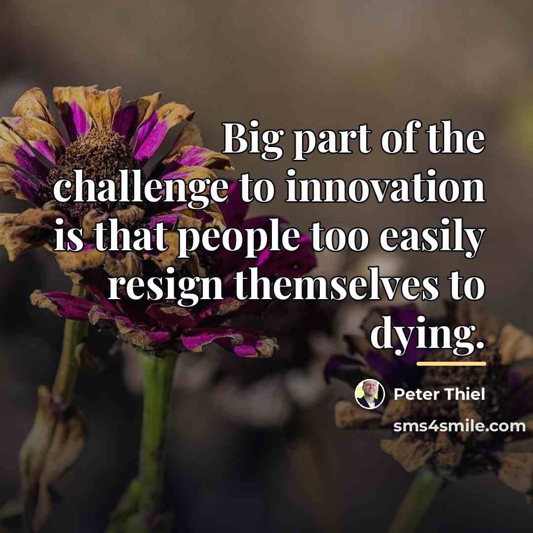 “Big part of the challenge to innovation is that people…” quote by Peter Thiel