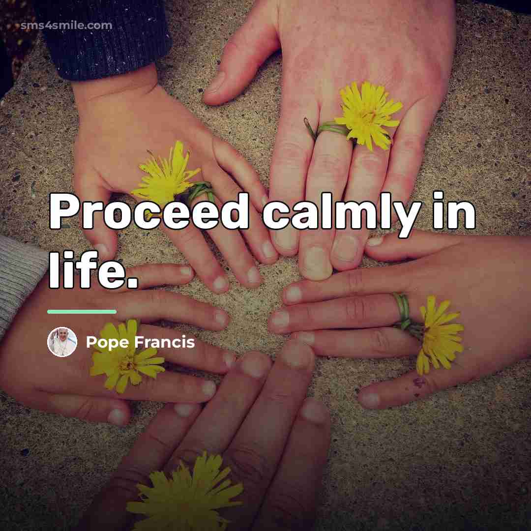 “Proceed calmly in life.…” quote by Pope Francis