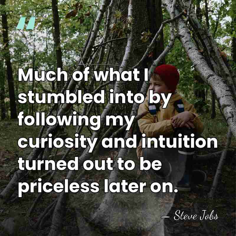Much of what I stumbled into by following my curiosity and intuition&hellip; - Steve Jobs