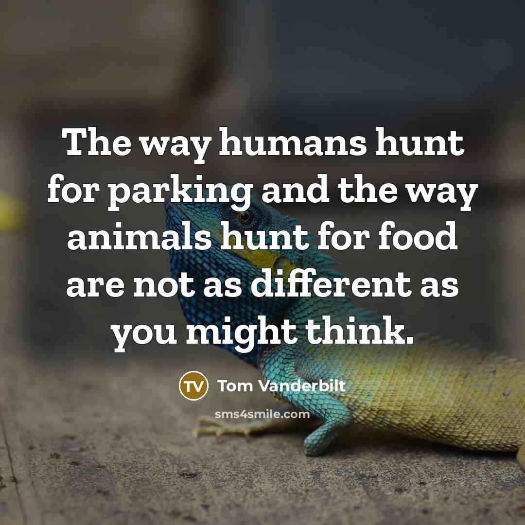 “The way humans hunt for parking and the way animals…” quote by Tom Vanderbilt