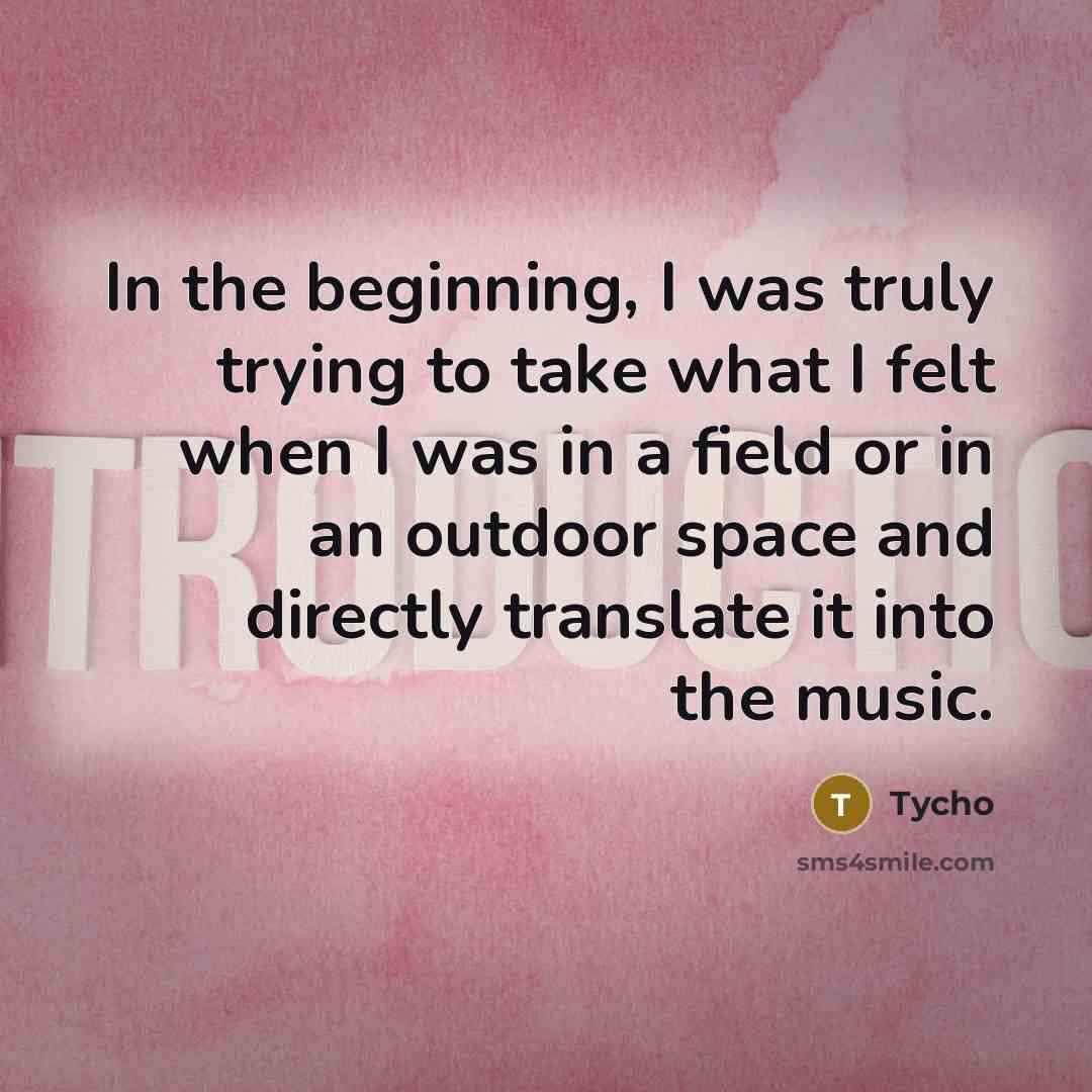 “In the beginning, I was truly trying to take what…” quote by Tycho