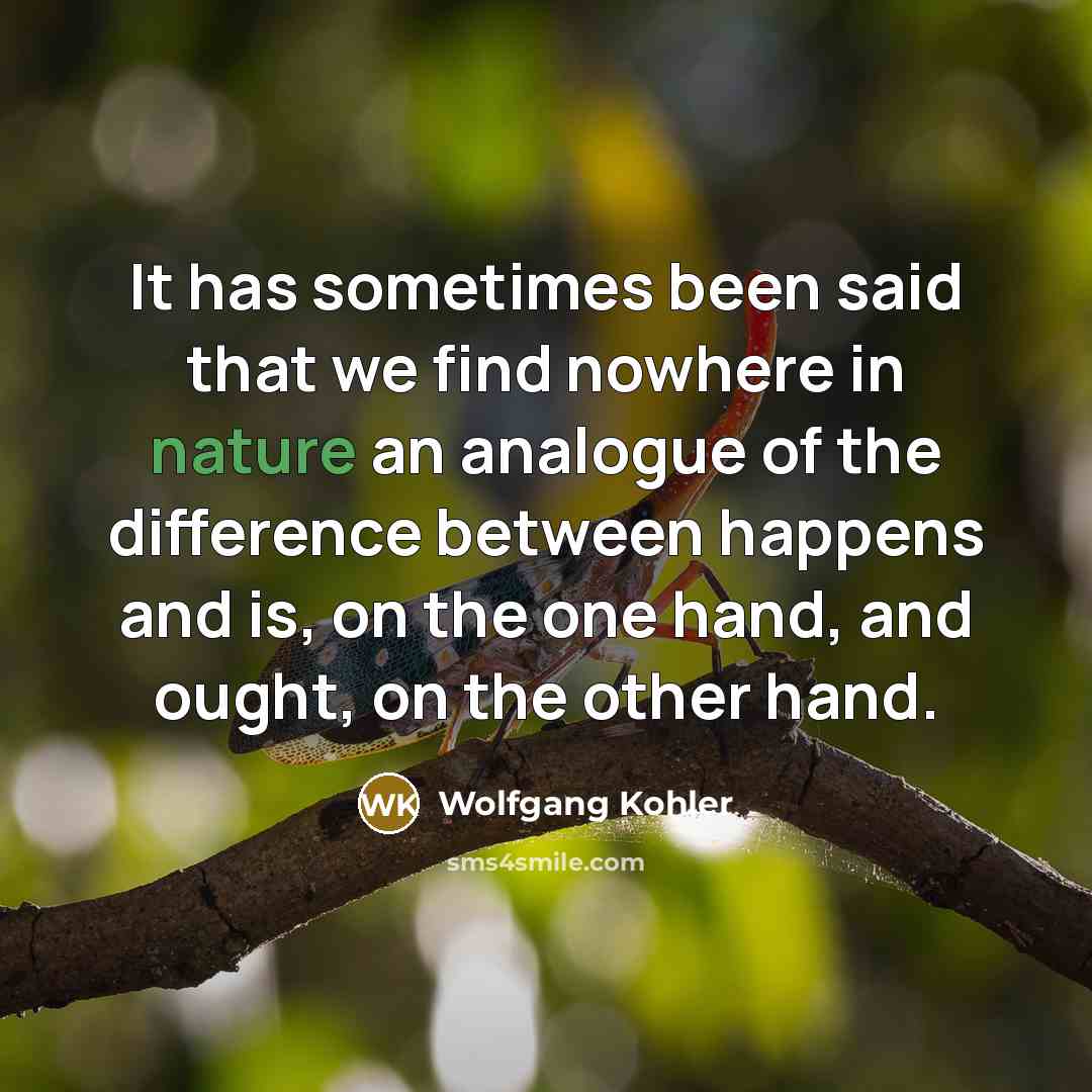“It has sometimes been said that we find nowhere in…” quote by Wolfgang Kohler