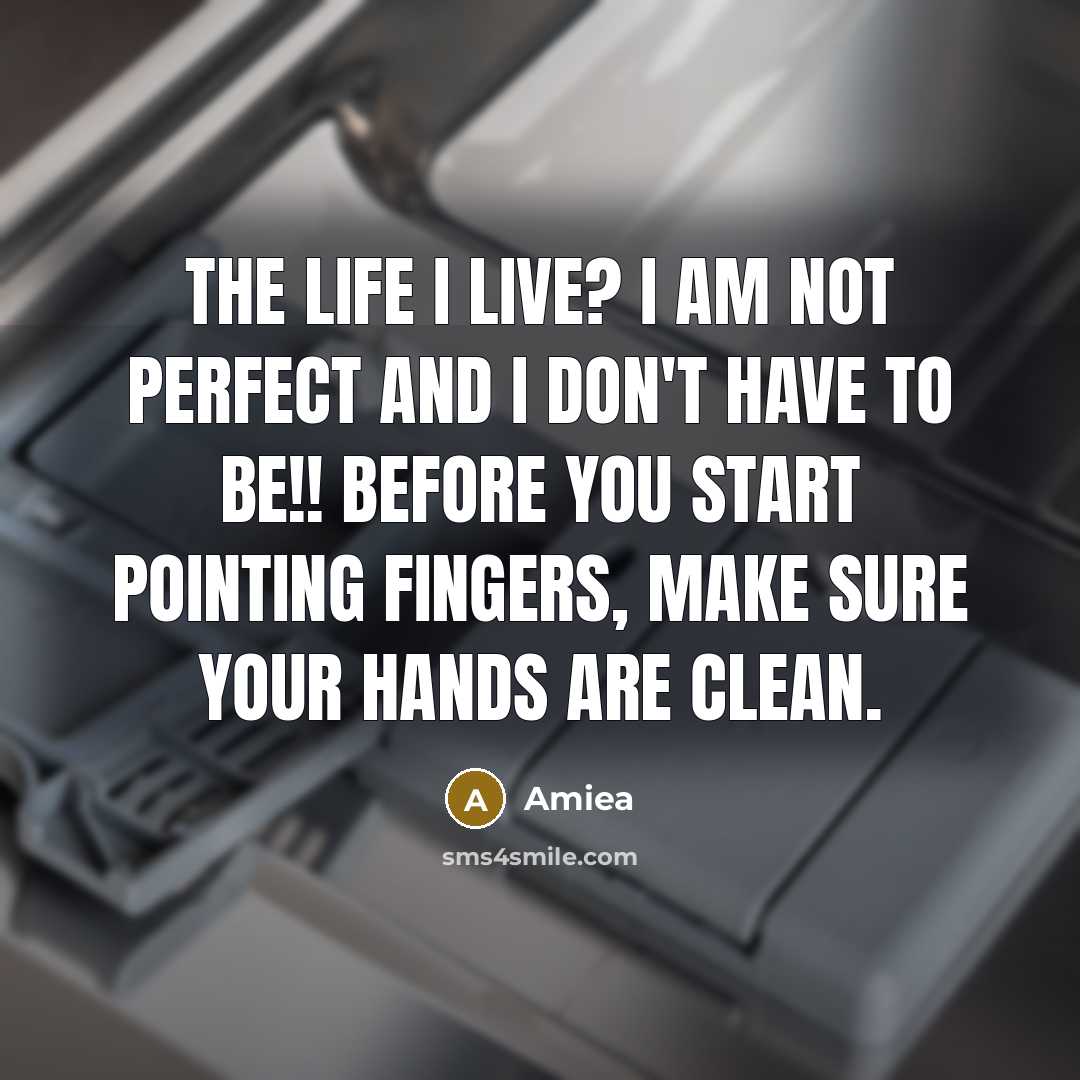 “The life I live? I am not perfect and I don't have to be!! before you start pointing fingers, make sure your hands are clean.” quote by Amiea