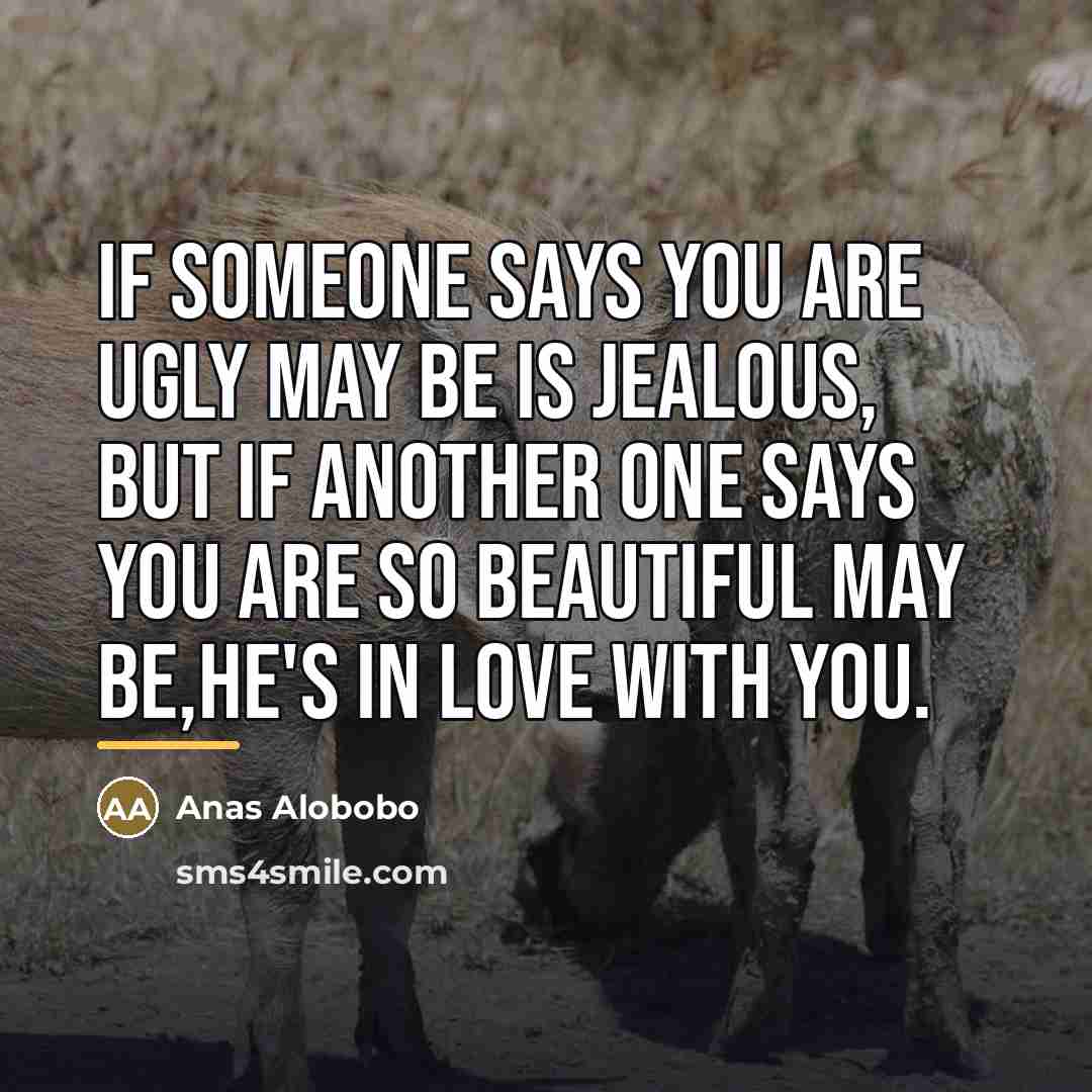 “If someone says you are ugly may be is jealous,…” quote by Anas Alobobo