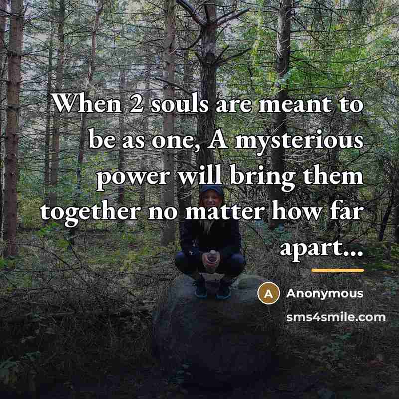 “When 2 souls are meant to be as one, A…” quote by Anonymous