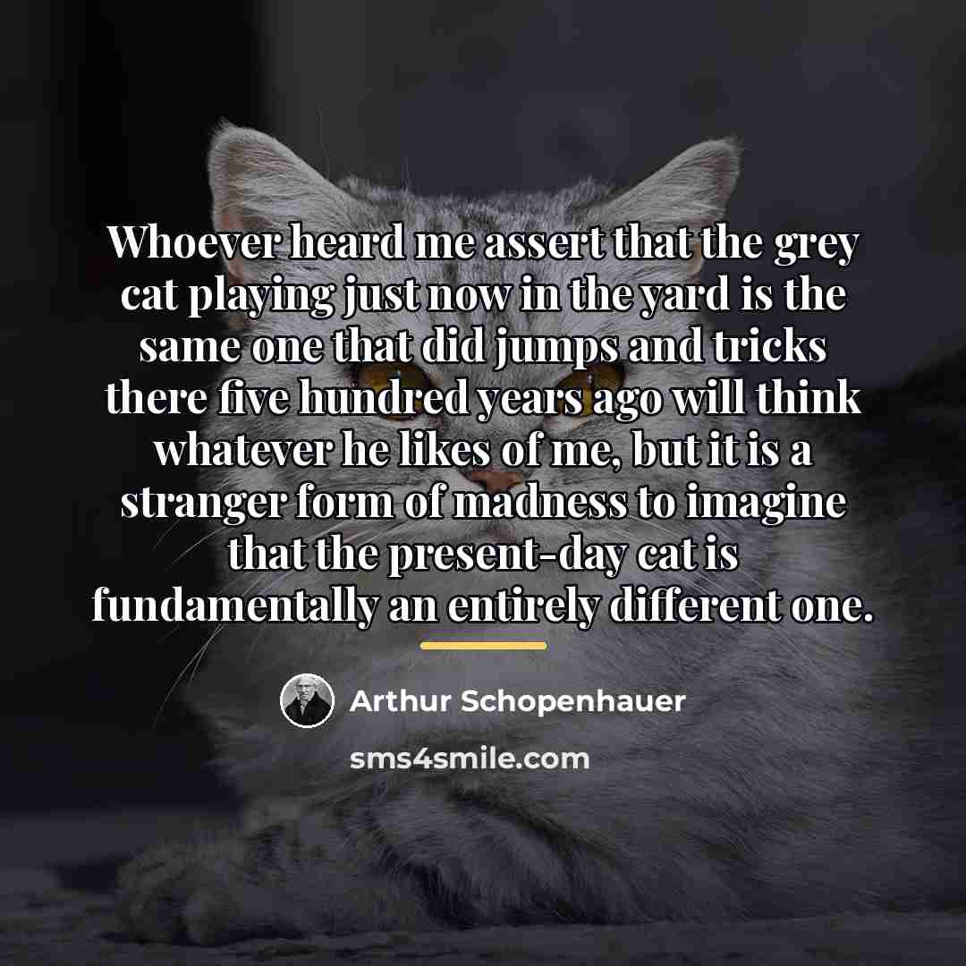“Whoever heard me assert that the grey cat playing just…” quote by Arthur Schopenhauer