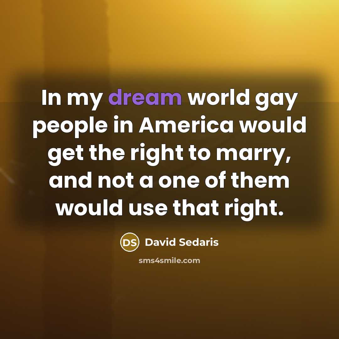 “In my dream world gay people in America would get…” quote by David Sedaris