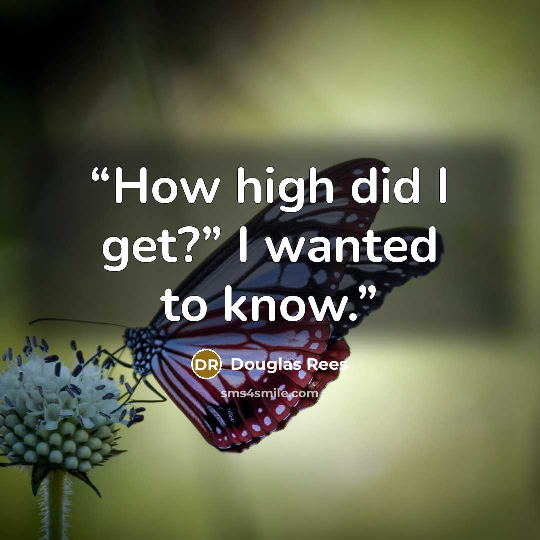 “How high did I get?” I wanted to know.” quote by Douglas Rees