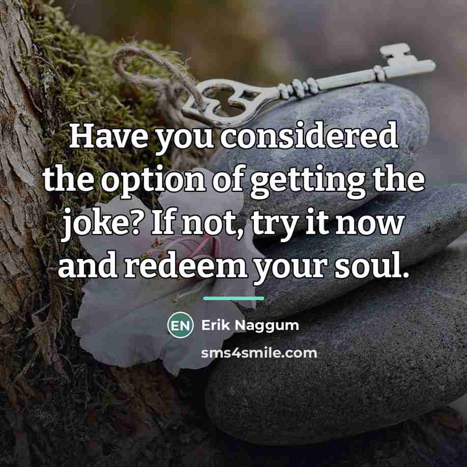 “Have you considered the option of getting the joke? If…” quote by Erik Naggum