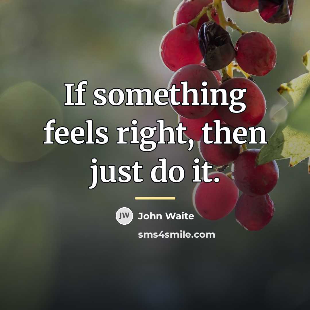 “If something feels right, then just do it.…” quote by John Waite