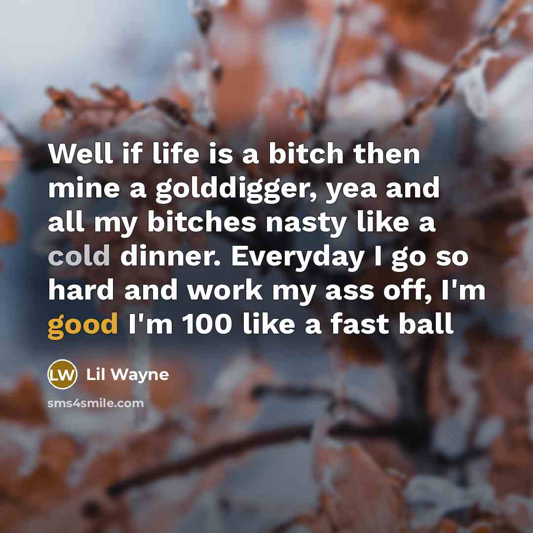 “Well if life is a bitch then mine a golddigger,…” quote by Lil Wayne