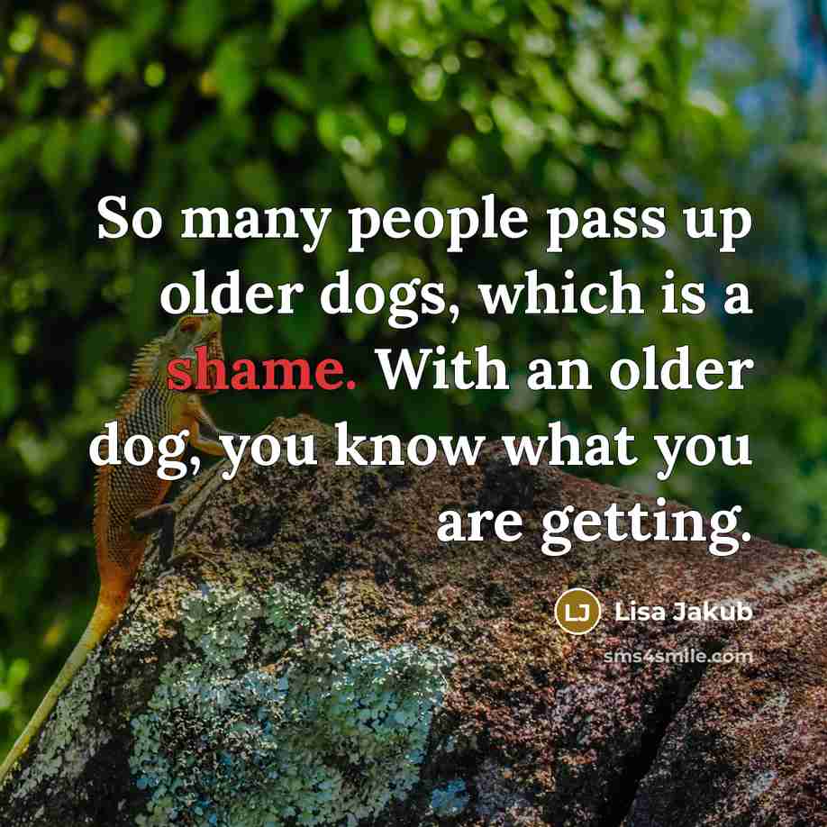 “So many people pass up older dogs, which is a shame. With an older dog, you know what you are getting.” quote by Lisa Jakub