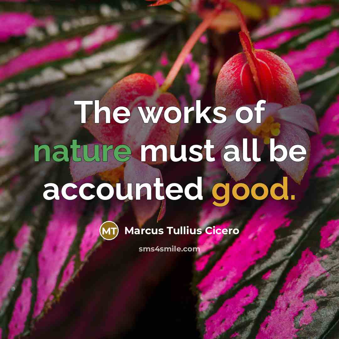 “The works of nature must all be accounted good.” quote by Marcus Tullius Cicero