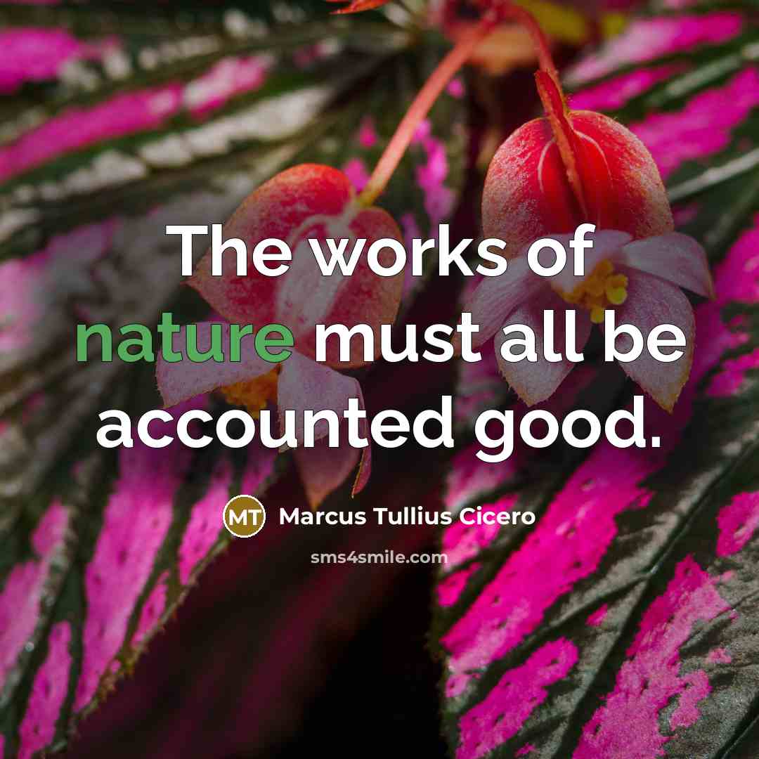 “The works of nature must all be accounted good.…” quote by Marcus Tullius Cicero