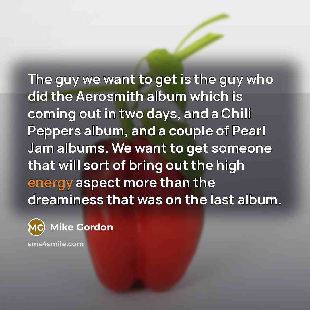 “The guy we want to get is the guy who…” quote by Mike Gordon