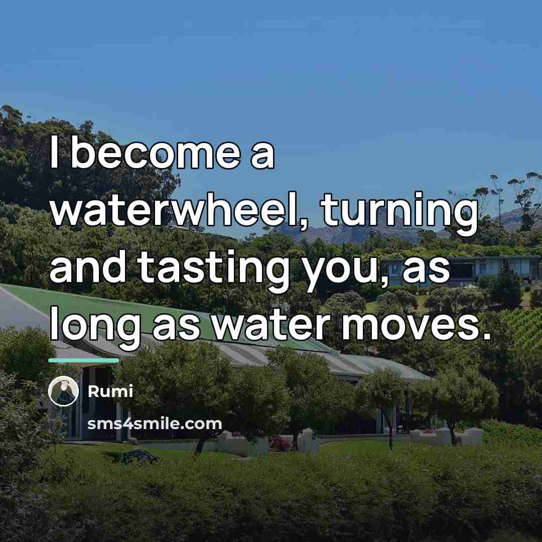 “I become a waterwheel, turning and tasting you, as long…” quote by Rumi
