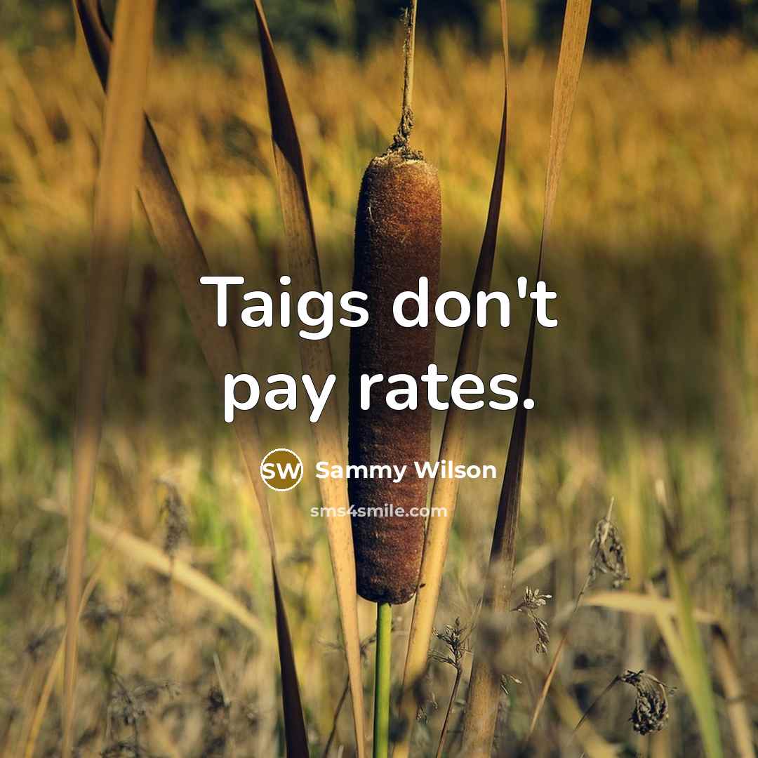 “Taigs don't pay rates.…” quote by Sammy Wilson