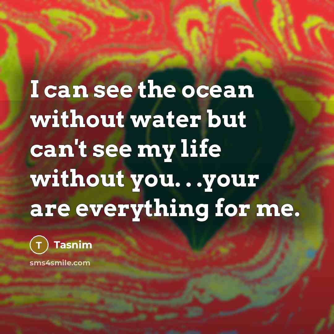 “I can see the ocean without water but can't see my life without you. . .your are everything for me.” quote by Tasnim