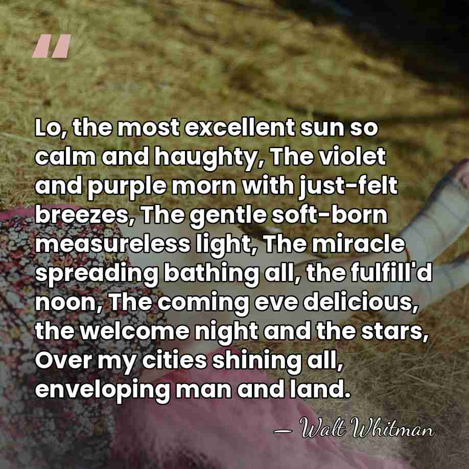 Lo, the most excellent sun so calm and haughty, The violet and&hellip; - Walt Whitman