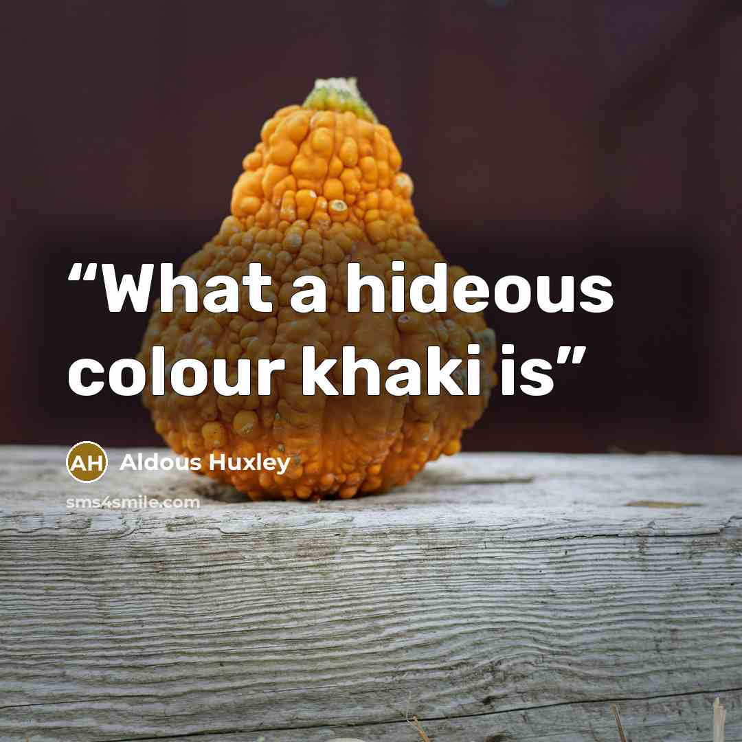 “What a hideous colour khaki is” quote by Aldous Huxley