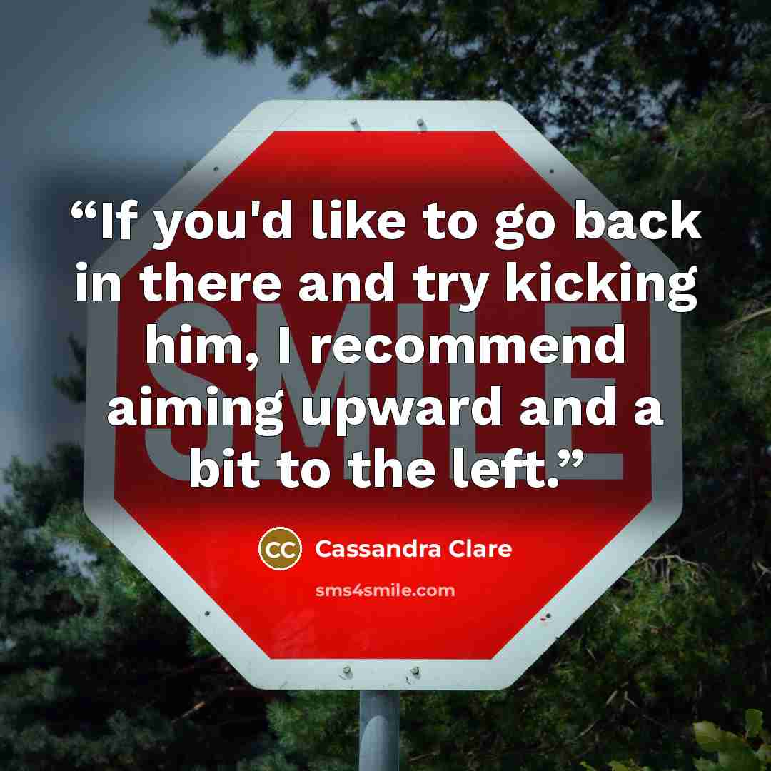 “If you'd like to go back in there and try kicking him, I recommend aiming upward and a bit to the left.” quote by Cassandra Clare