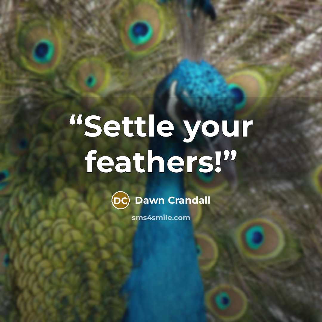 “Settle your feathers!” quote by Dawn Crandall