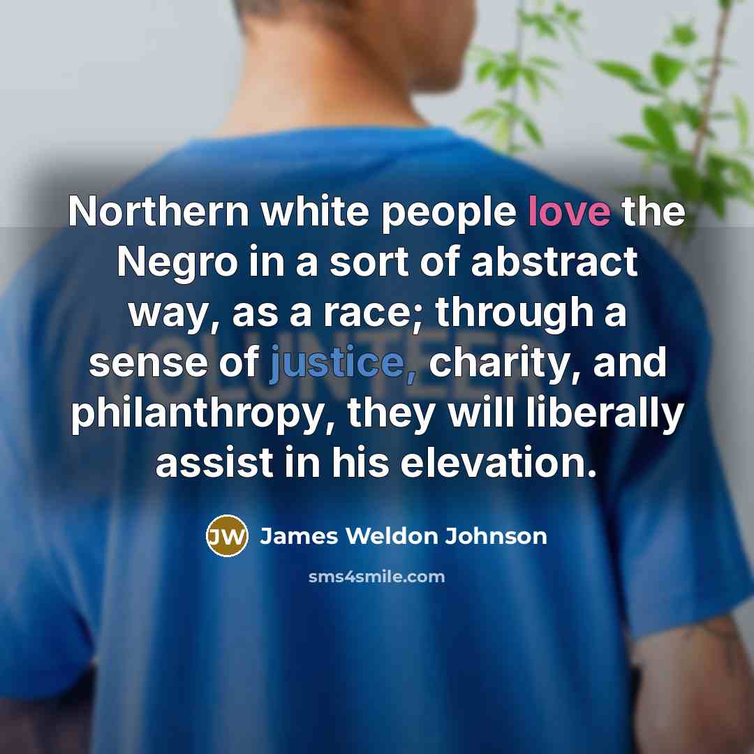“Northern white people love the Negro in a sort of…” quote by James Weldon Johnson