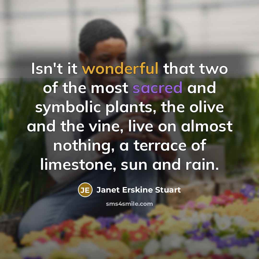 “Isn't it wonderful that two of the most sacred and symbolic plants, the olive and the vine, live on almost nothing, a terrace of limestone, sun and rain.” quote by Janet Erskine Stuart