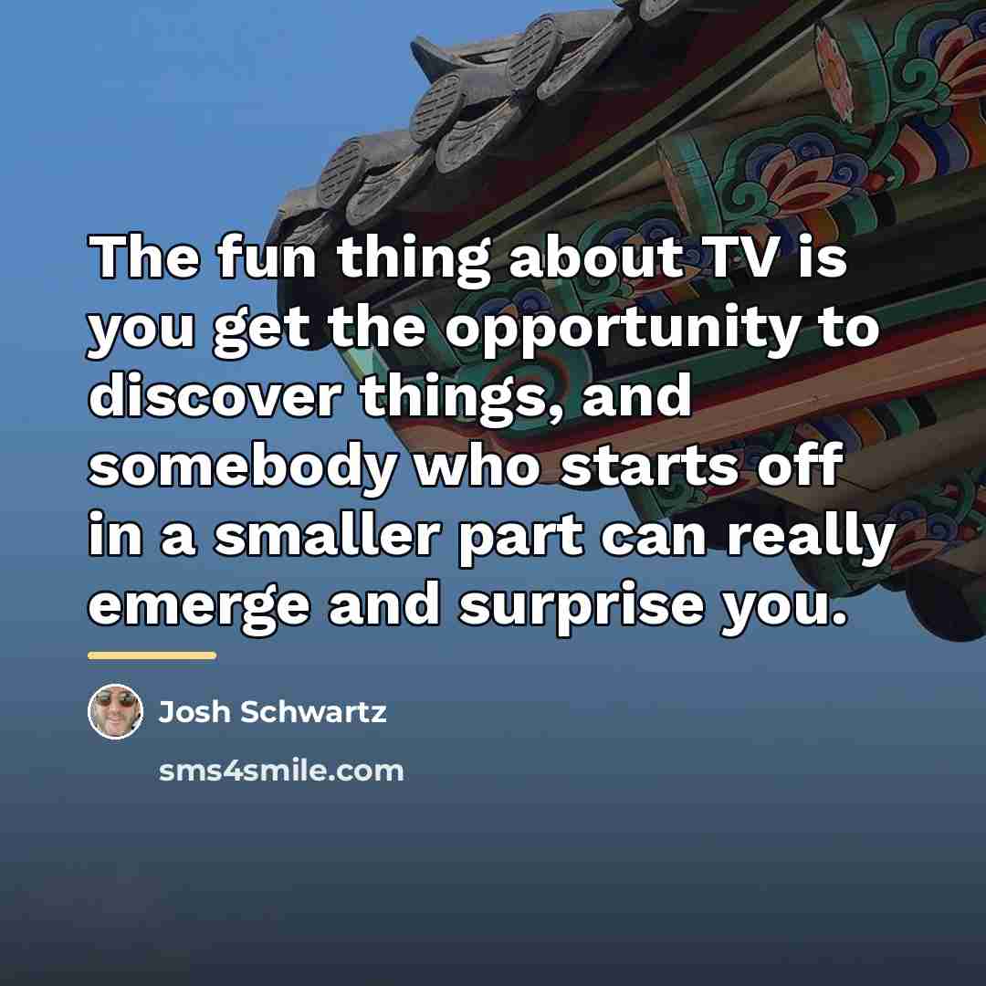 “The fun thing about TV is you get the opportunity…” quote by Josh Schwartz